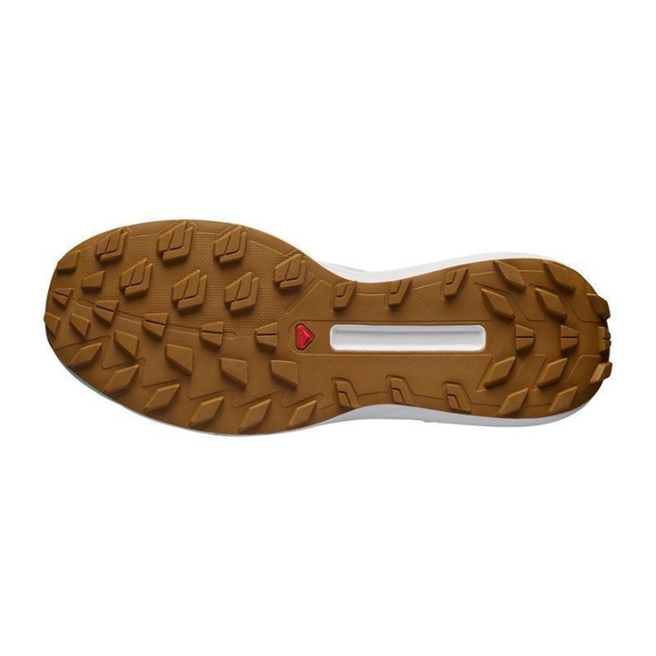 ZAPATILLAS SALOMON S/LAB GENESIS ED. COURTNEY