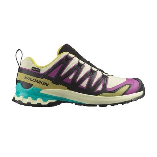 ZAPATILLAS SALOMON XA PRO 3D V9 GTX ICON PACK