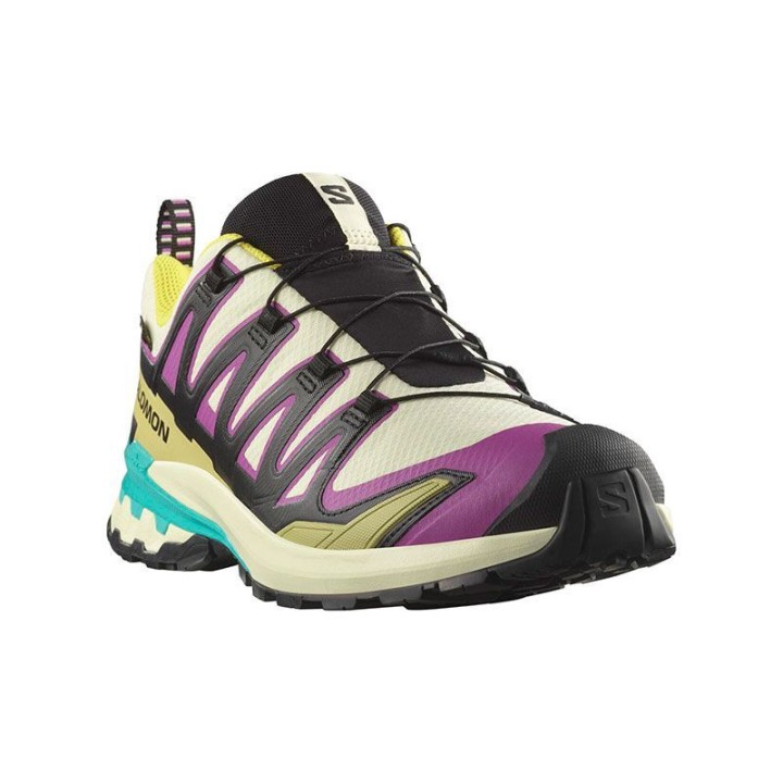 ZAPATILLAS SALOMON XA PRO 3D V9 GTX ICON PACK